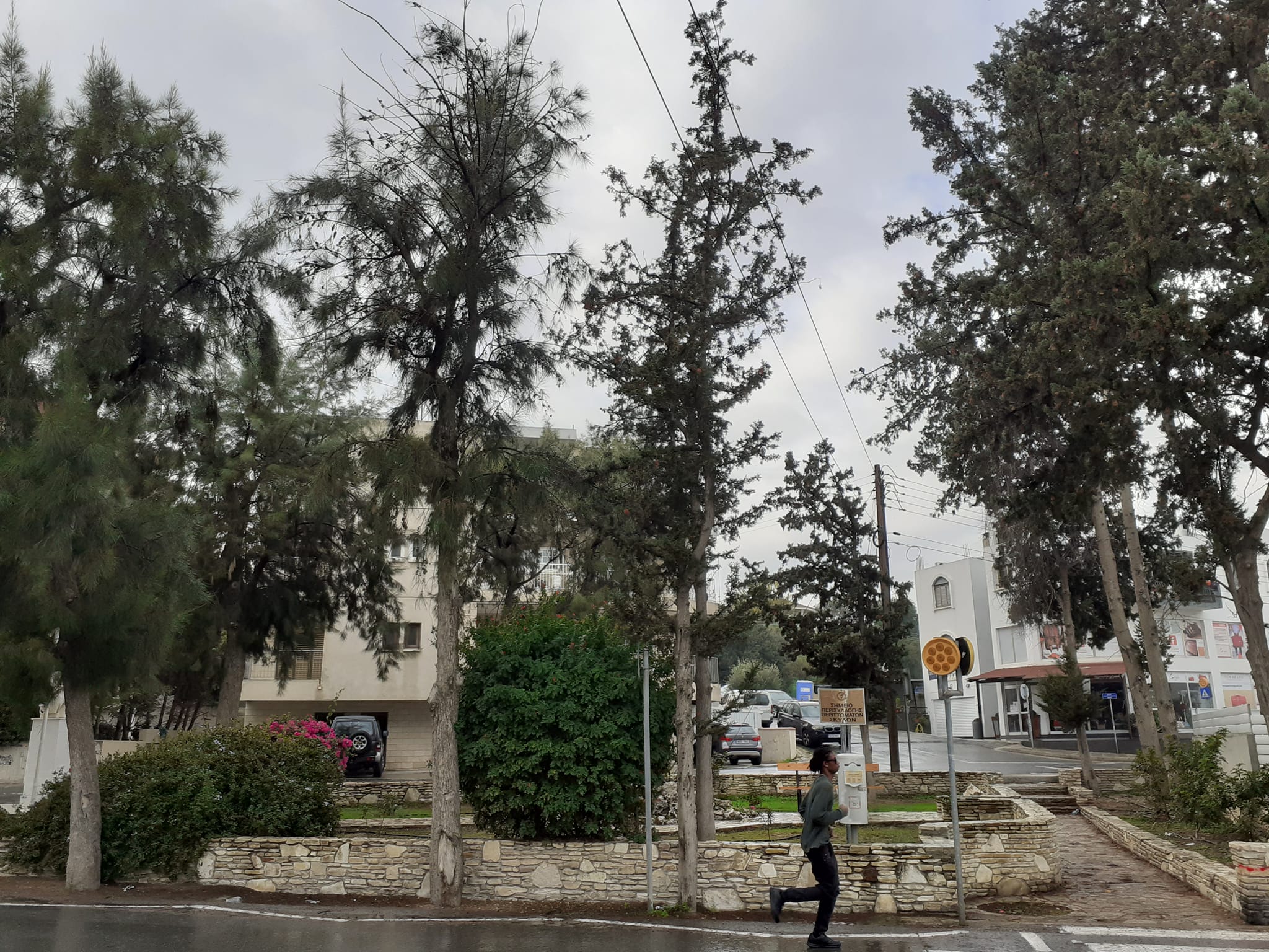 The Runner in Aglatzia